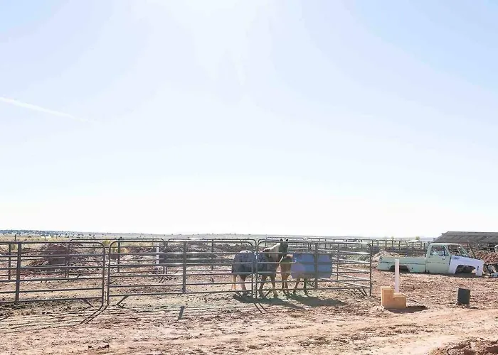 Dusty Rose The Wild West 40 Homestead *