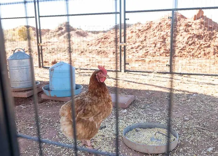 Dusty Rose The Wild West 40 Homestead Holiday home *